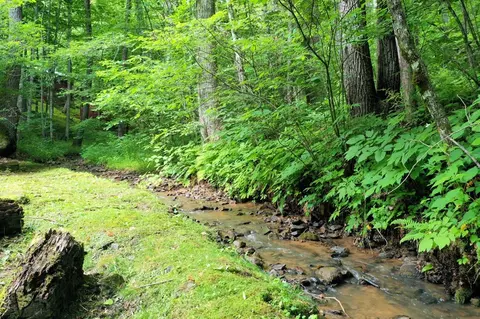 1510 Falling Leaf Trl, Sylva, NC 28779 photo 9