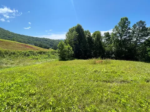 00 Mane Loop Rd, Franklin, NC 28734 photo 16