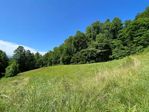 00 Mane Loop Rd, Franklin, NC 28734 photo 7