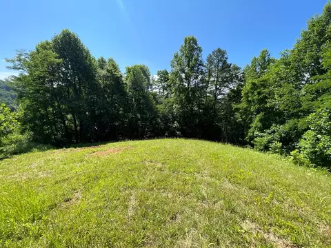 00 Mane Loop Rd, Franklin, NC 28734 photo 18