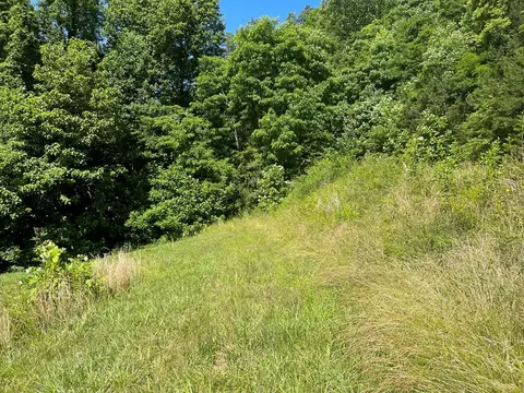 00 Mane Loop Rd, Franklin, NC 28734 photo 11