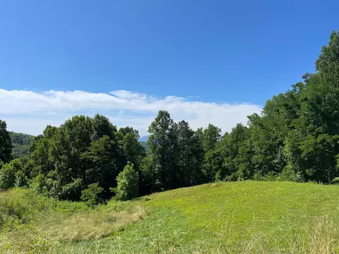 00 Mane Loop Rd, Franklin, NC 28734 photo 10