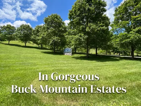 00 Mane Loop Rd, Franklin, NC 28734 photo 3