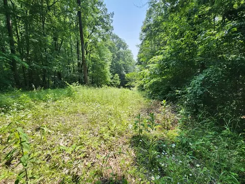 00 Corbin Cove Rd, Franklin, NC 28734
