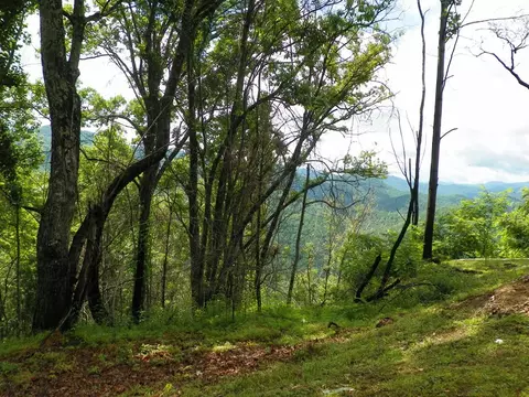 Lot 23a Big Ridge Development, Franklin, NC 28734