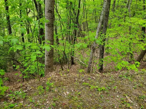 00 N Valley View Rd, Franklin, NC 28734