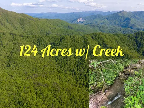 200 Blue Spruce Dr, Whittier, NC 28789