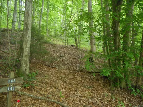 00 Leon Barron Rd, Sylva, NC 28779