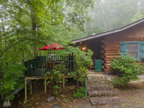 364 Leafstone Cir, Sylva, NC 28779 photo 40
