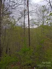 3 Folklore, Whittier, NC 28789