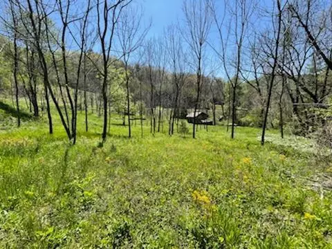 Lot 31 Hooper Cemetery Rd, Cullowhee, NC 28723