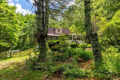 Undisclosed, Cullowhee, NC photo 3