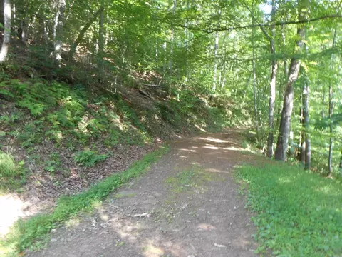 00 Rabbit Ln, Franklin, NC 28734
