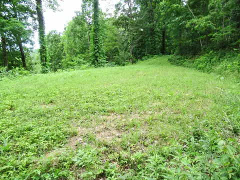 Lot 11 Berry Cove Rd, Franklin, NC 28734
