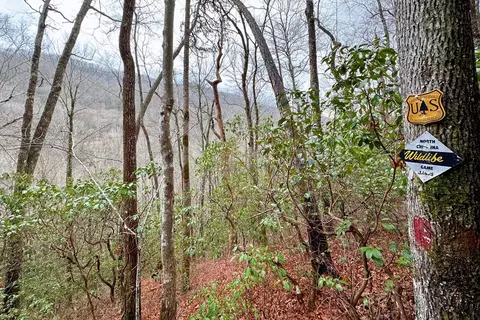 4003 Junaluska Rd, Topton, NC 28781