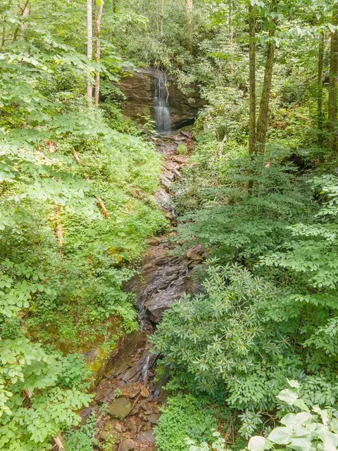 2748 Cane Creek Rd, Sylva, NC 28779 photo 70