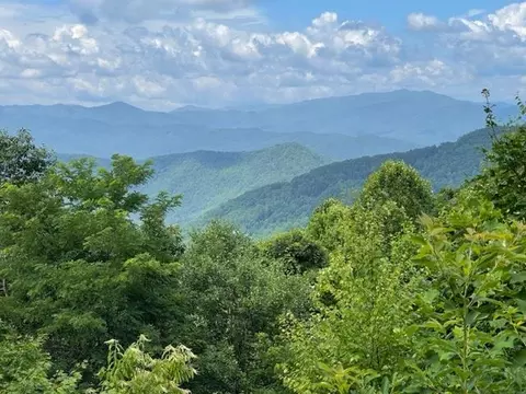 lot63 The Fls, Bryson City, NC 28713