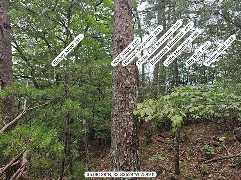 00 Trail Ridge Rd, Franklin, NC 28734