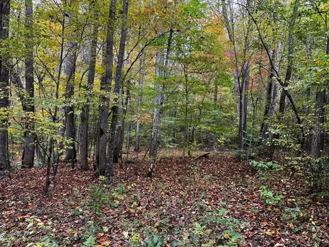 30 Scratch Branch Rd, Otto, NC 28763 photo 63