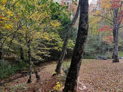30 Scratch Branch Rd, Otto, NC 28763 photo 53