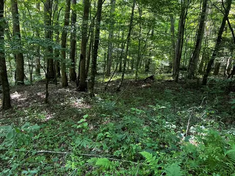 30 Scratch Branch Rd, Otto, NC 28763 photo 20