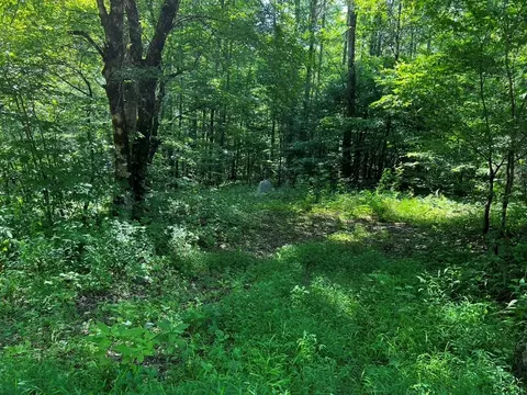 30 Scratch Branch Rd, Otto, NC 28763 photo 18