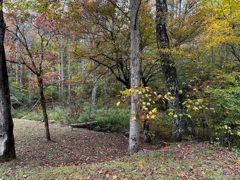 30 Scratch Branch Rd, Otto, NC 28763 photo 60