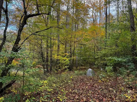 30 Scratch Branch Rd, Otto, NC 28763 photo 61