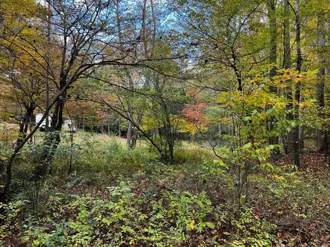 30 Scratch Branch Rd, Otto, NC 28763 photo 62