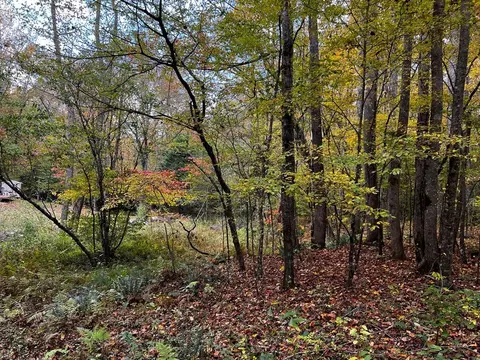 30 Scratch Branch Rd, Otto, NC 28763 photo 64