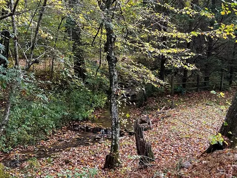 30 Scratch Branch Rd, Otto, NC 28763 photo 54
