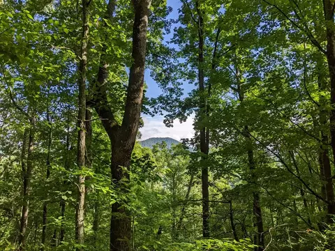 632 Quiet Cove Pl, Sylva, NC 28779
