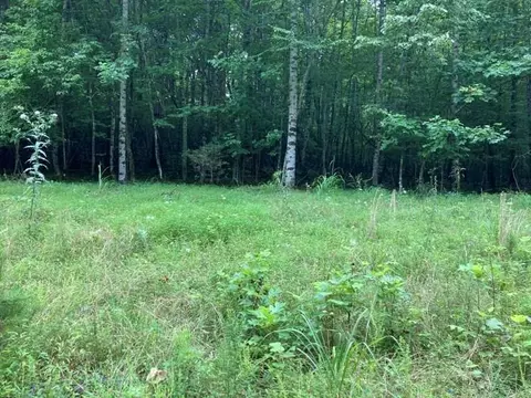 N/a Lake Dr, Franklin, NC 28734