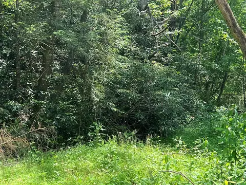 0 Yellow Branch Rd, Robbinsville Graham, NC 28771