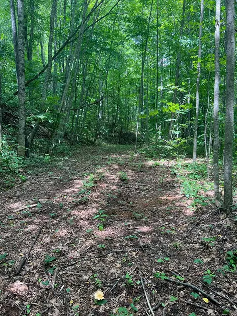 0 Hutchinson Rd, Balsam, NC 28779