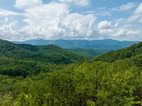 Tbd Firefly Rd, Whittier, NC 28789