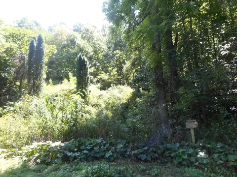 00 Little Ellijay Rd, Franklin, NC 28734