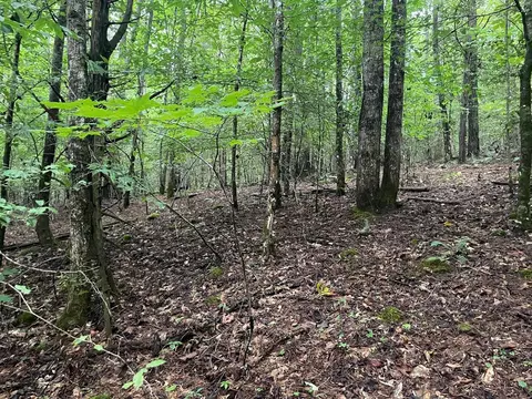 00 Olive Hill Rd, Franklin, NC 28734