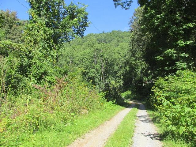 19 Tumbleweed Trl, Cullowhee, NC 28723