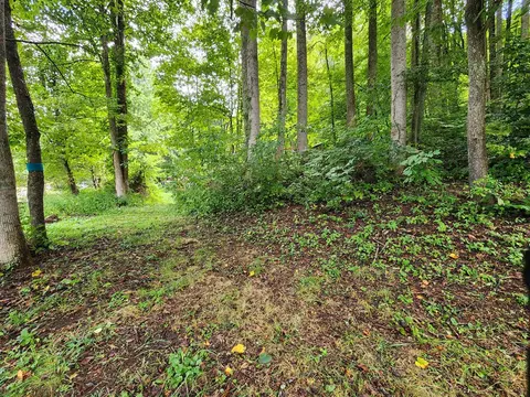 21 Red Red Ln, Sylva, NC 28779 photo 19
