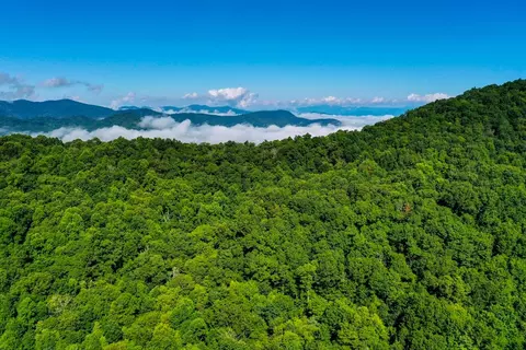 1443 W Cliff Rd, Cullowhee, NC 28723 photo 13