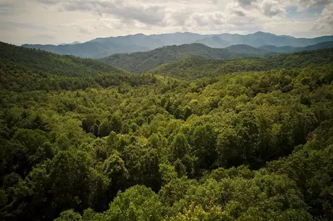 00 Round Top, Almond, NC 28702