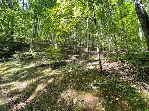 0 Hazel Hollow Dr, Dillsboro, NC 28725