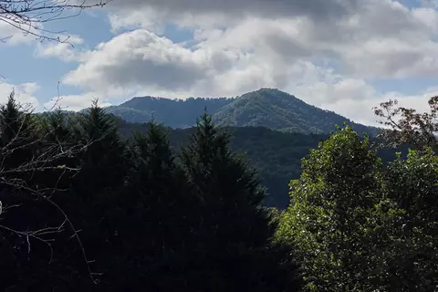 437 Marion Forest Rd, Sylva, NC 28779 photo 37