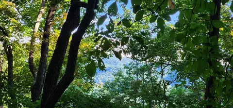 lot93 Corundum Hill Rd #LOT 93, Franklin, NC 28734