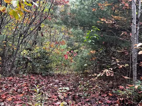 lot6 Carson Cove Rd, Franklin, NC 28734