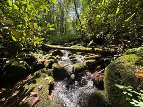 00 Deep Gully Rd, Bryson City, NC 28713