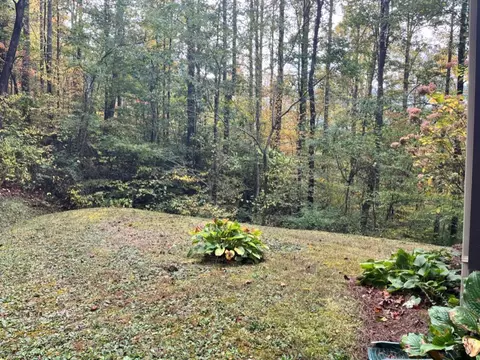 150 Rebel Dr, Sylva, NC 28779 photo 6
