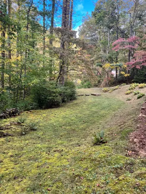 150 Rebel Dr, Sylva, NC 28779 photo 7