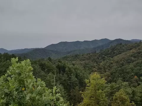 670 Big Pine Trce, Bryson City, NC 28713